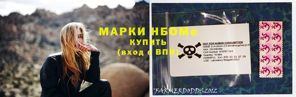 сатива Кулебаки