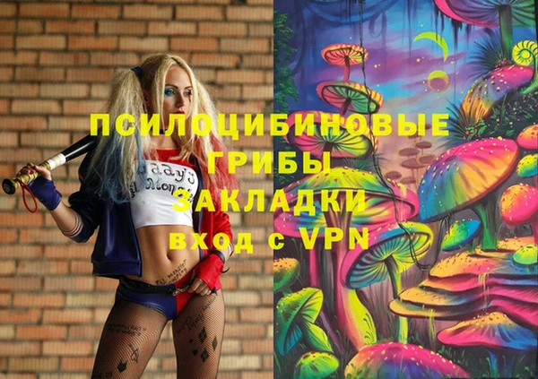 скорость Краснослободск