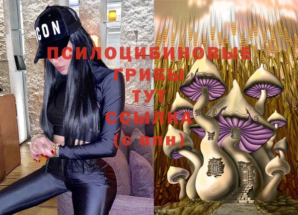 прущие крисы Куйбышев