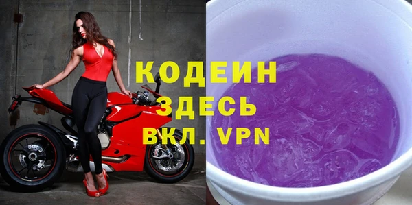 сатива Кулебаки