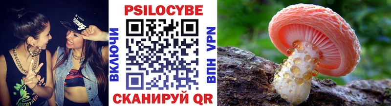 сайты даркнета Telegram Оленегорск Псилоцибиновые грибы Magic Shrooms